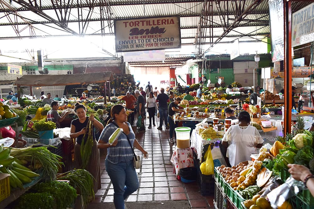 Galeria Alameda 