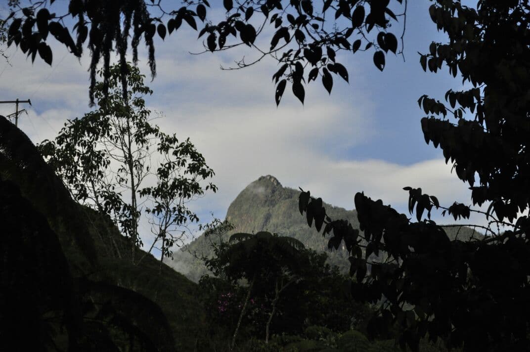 Pico de Loro