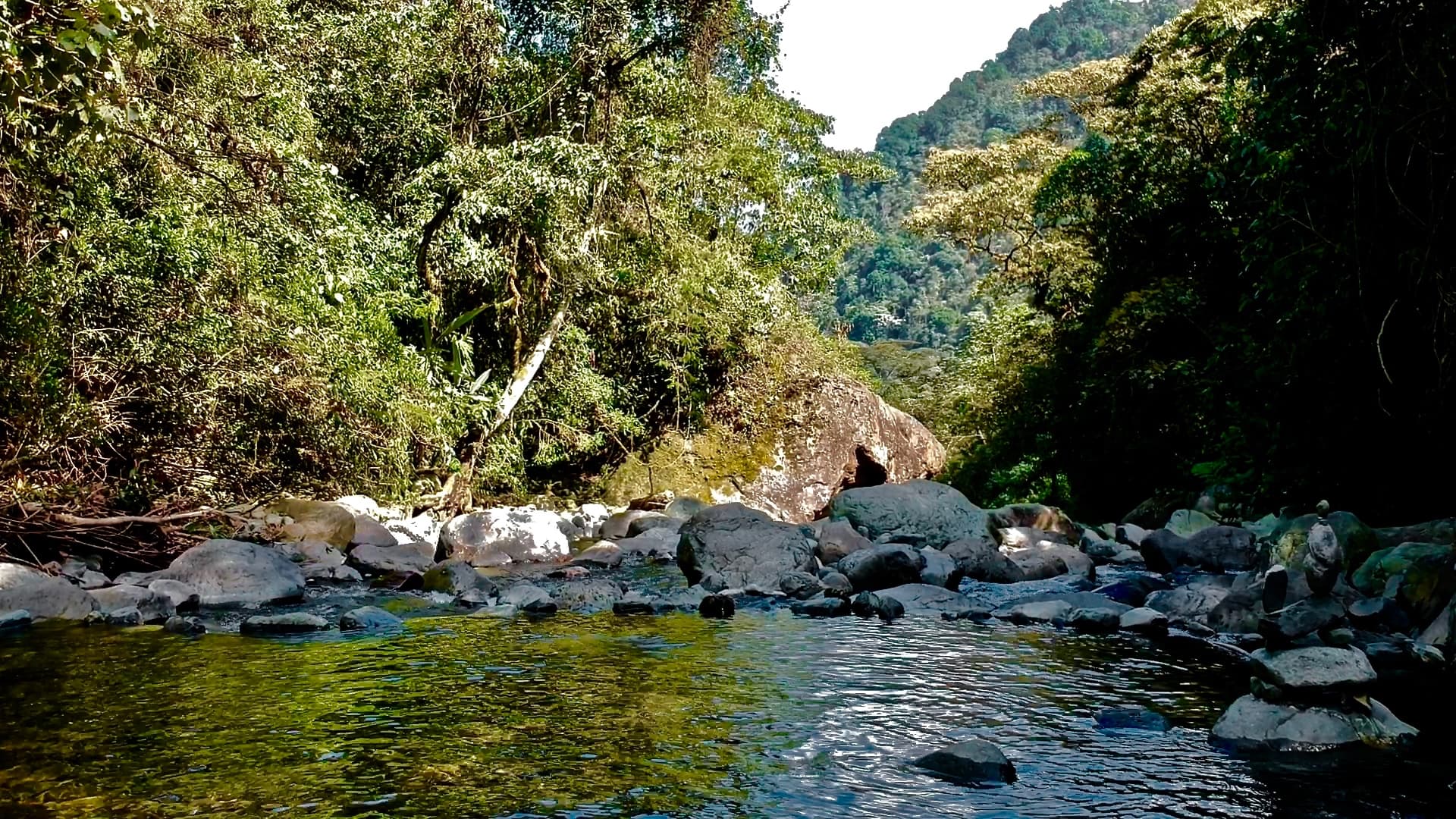 Recorrido por las cercanías del Río Pance