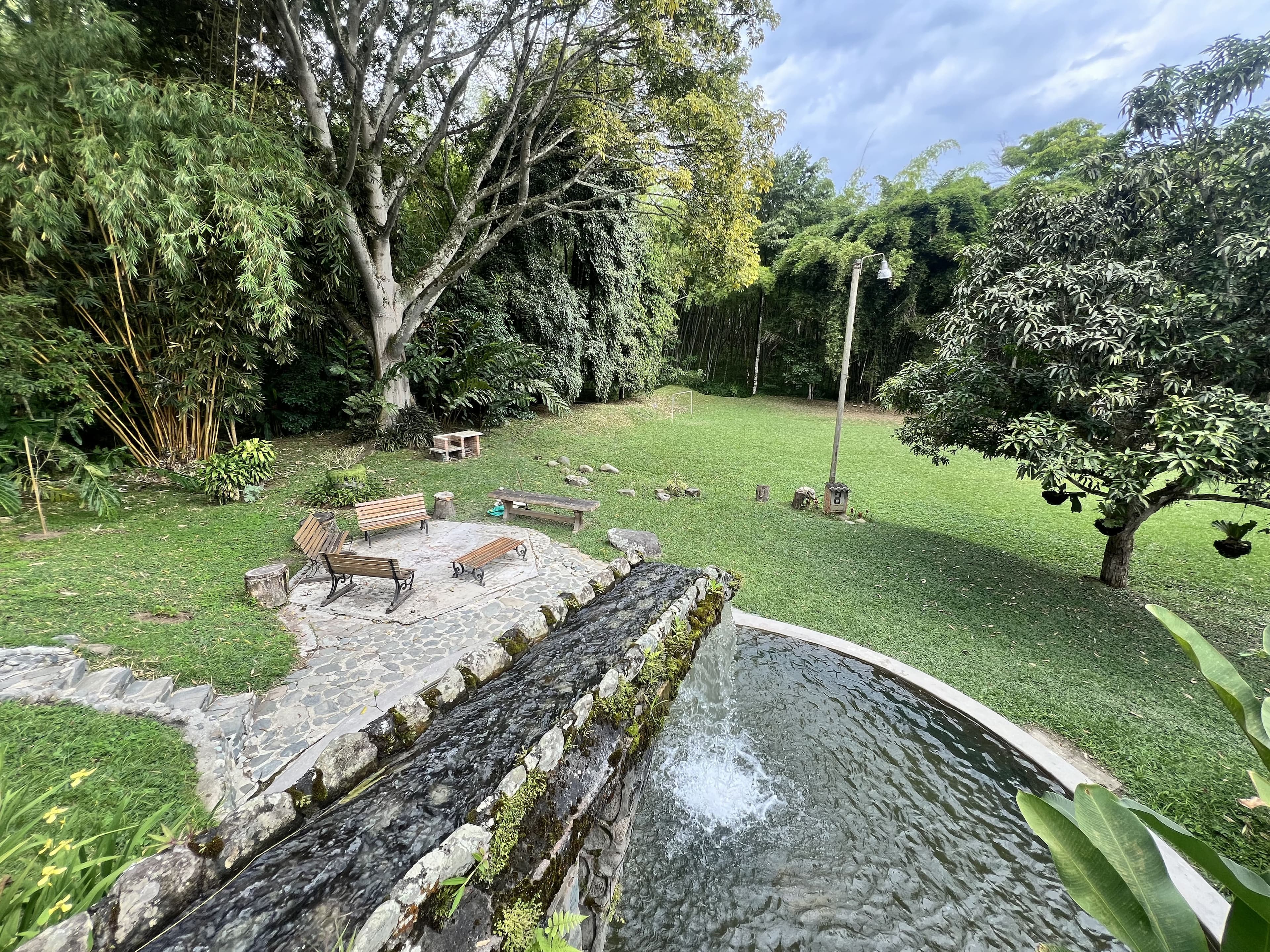 Buga: territorio de Aves, senderos de Guadua y contemplación de Búfalas. Basílica Señor de Los Milagros. Buga, Valle del Cauca, Colombia. 