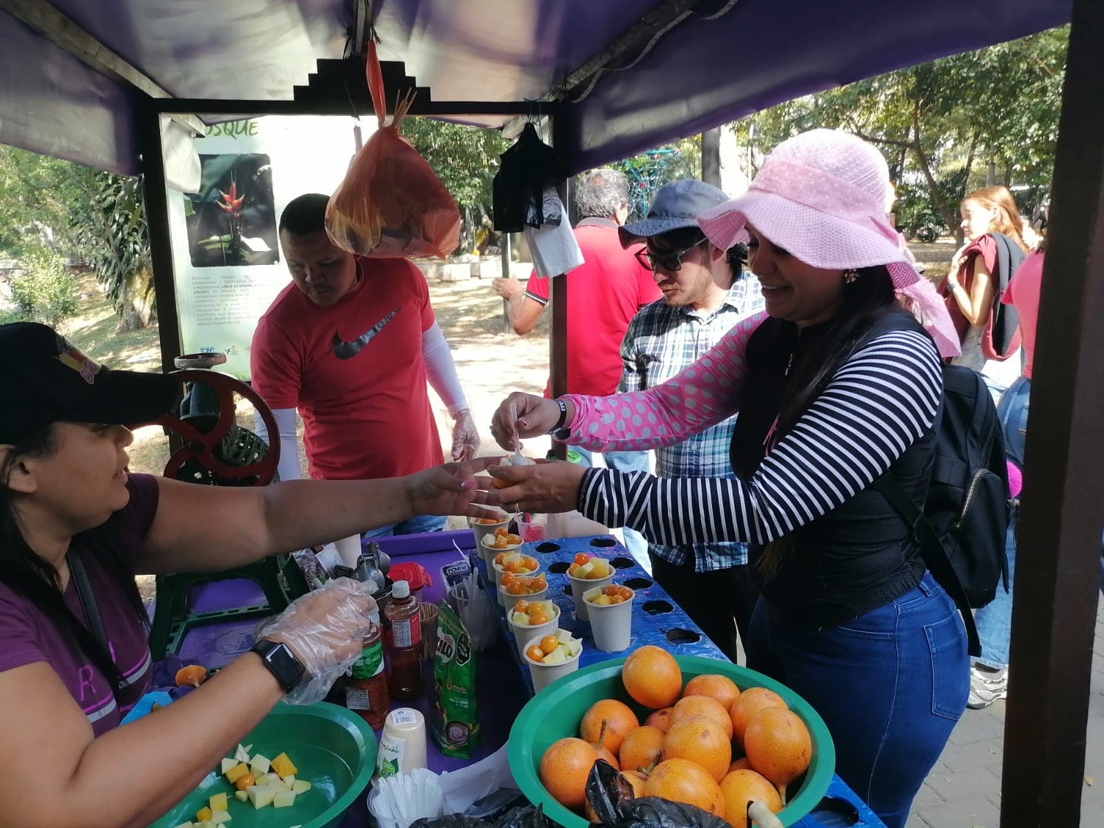 Tropical Fruits you will taste during this tour