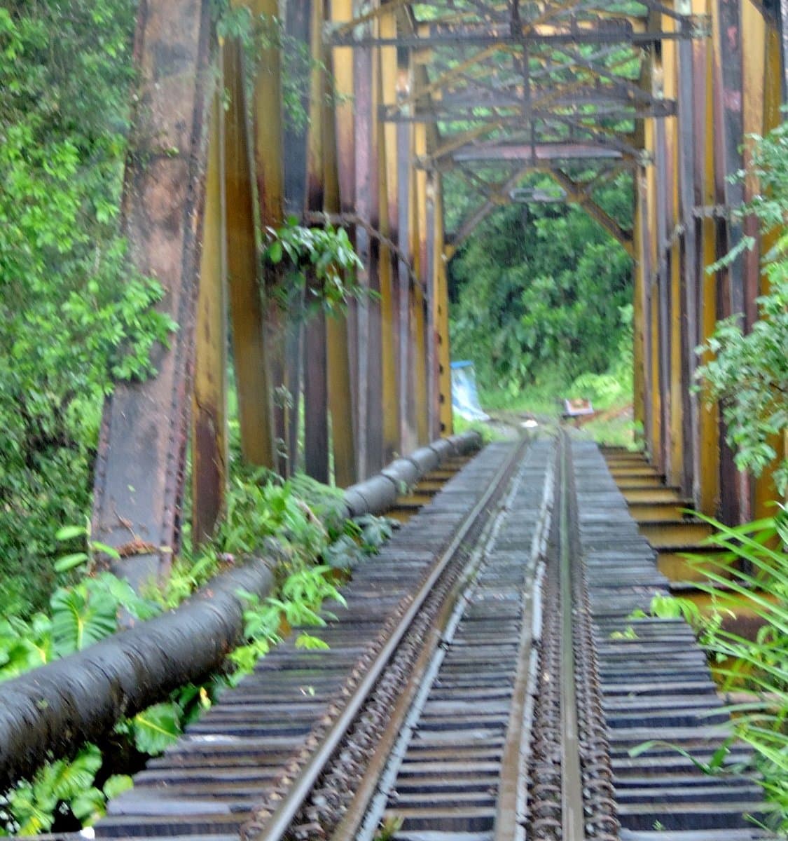 Rieles tren San Cipriano