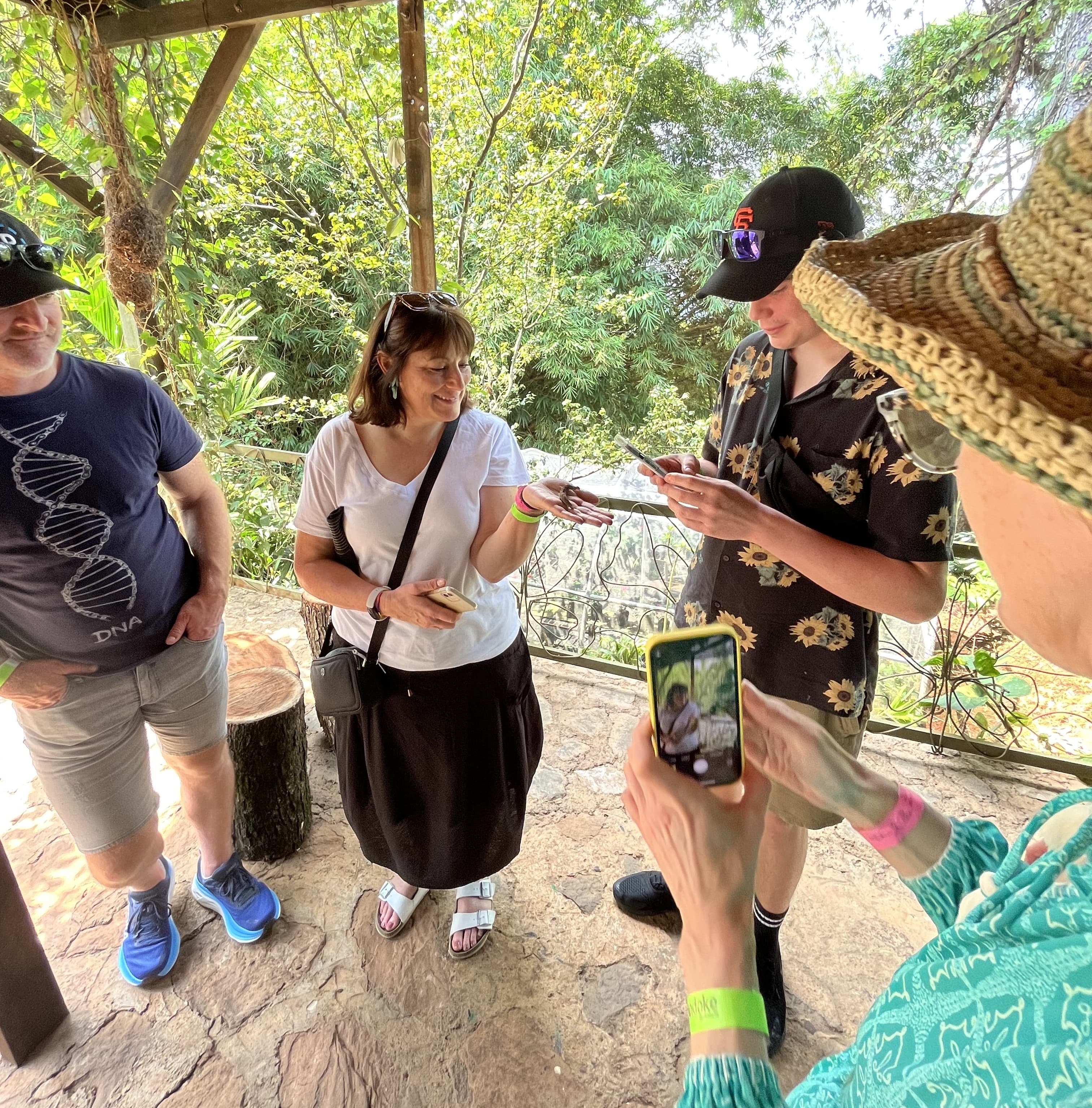 You will visit one of the most important butterfly farms in Colombia, observing closely the life cycle of butterflies and living a unique sensory experience of butterfly release