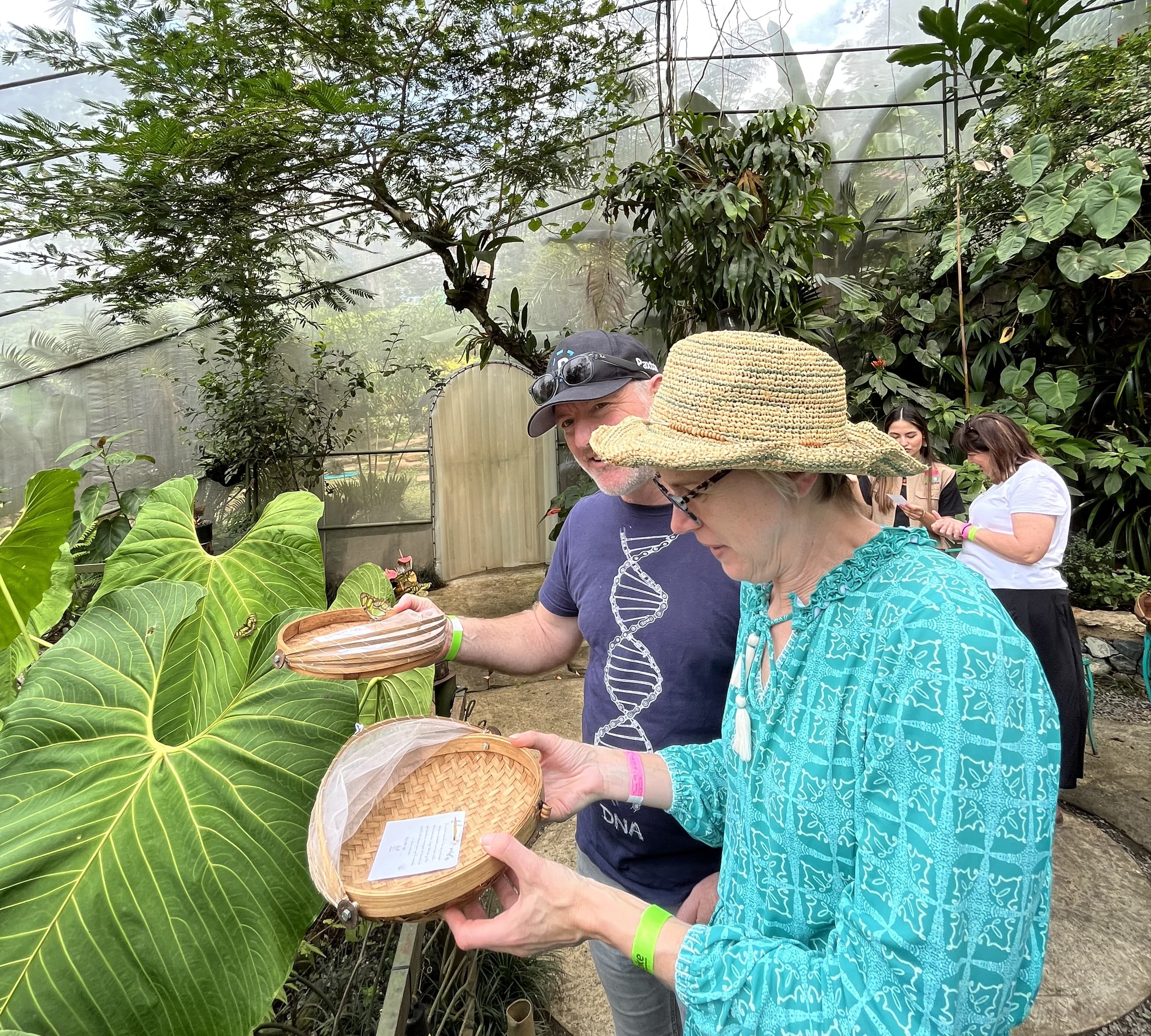 Butterfly Release