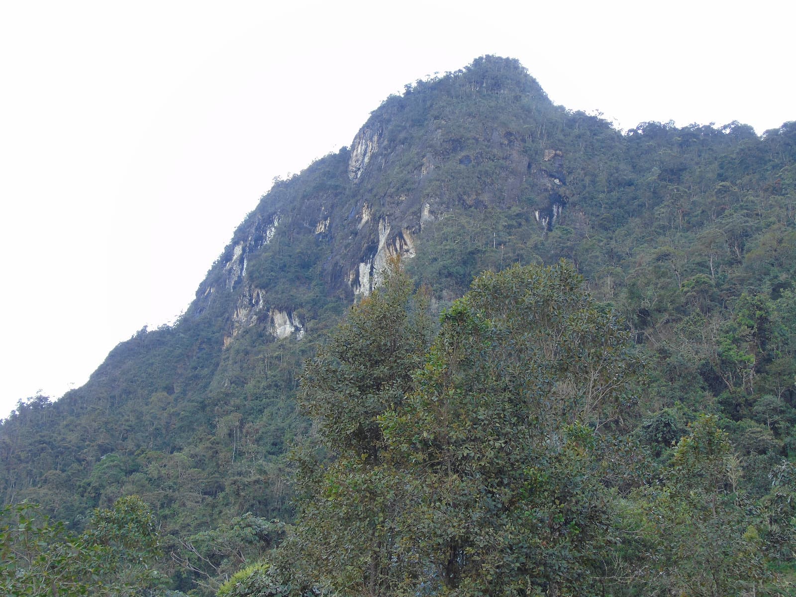 Montaña Peñas Blancas