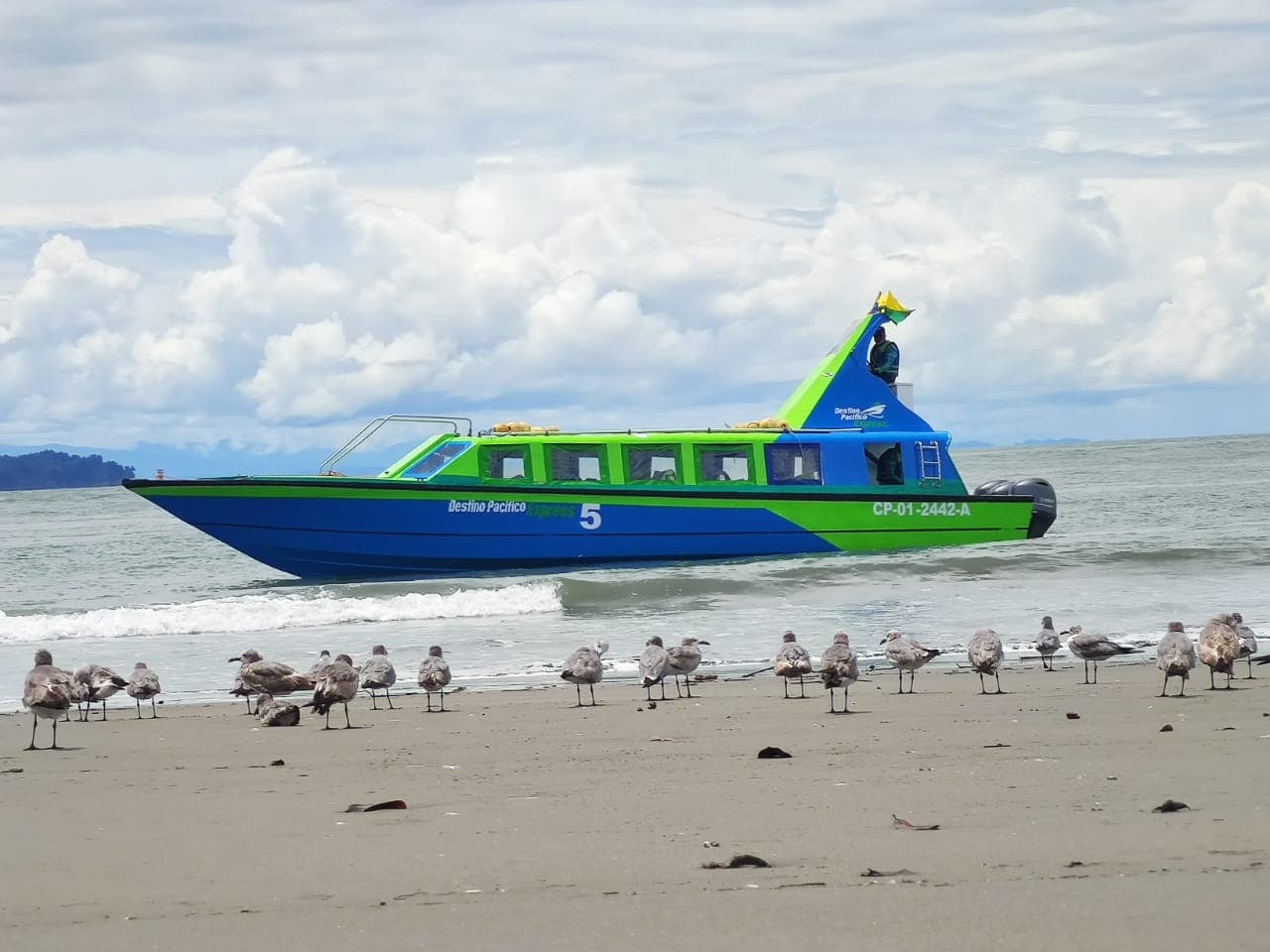 Las lanchas de transporte 