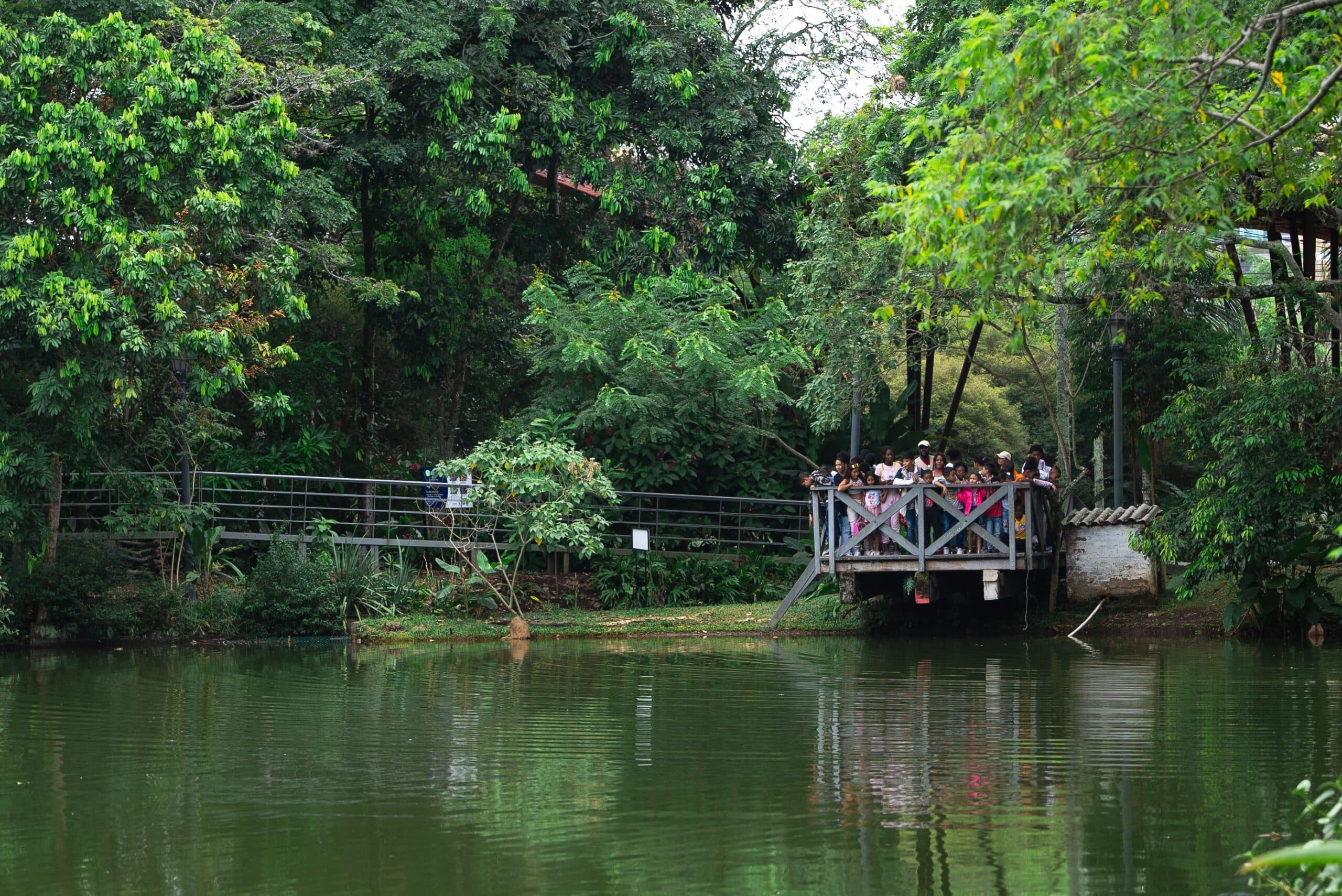 You will explore the trails of the Ecoparque de las Garzas, a natural jewel in the middle of the city