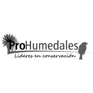 PROHUMEDALES 