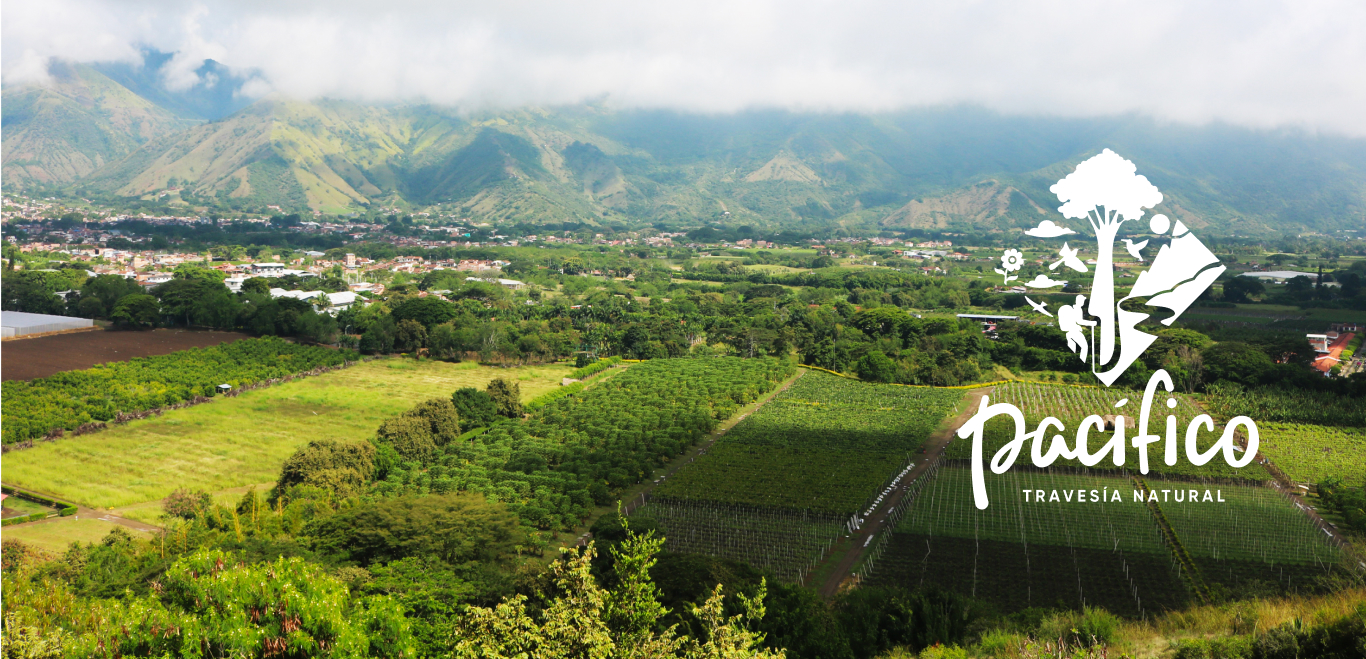 Agrotourism